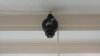 20170112_151659.jpg