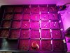 20170112_132937.jpg