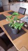 20170114_090133.jpg