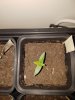 20170116_101320.jpg