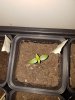 20170116_101327.jpg