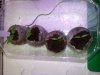 20170126_094250.jpg