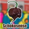 Schokosense
