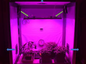Growbox für Anzucht u. Indooranbau
