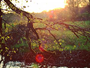 Natur und Landschaft Bergisches Land