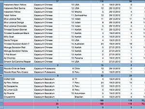 Talismann Memories 2012 / 2013