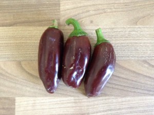 Brown Jalapeno Ernte