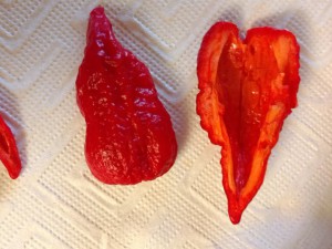 Bhut Rot