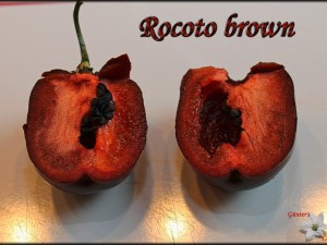 Rocoto Brown