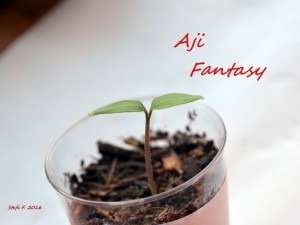 Aji Fantasy