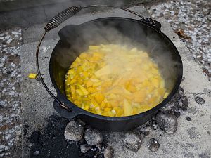 170415_Paprika_Mango_Hähnchen_2