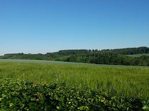 Die schöne Eifel