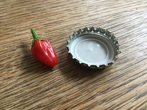 Erste Chili-Ernte