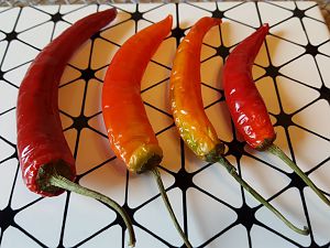 Kroatien Chilis