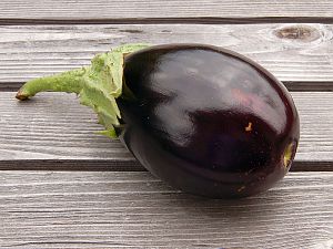 Aubergine