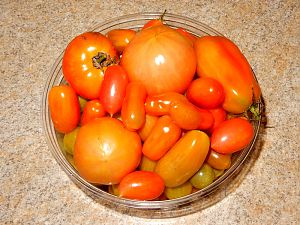 Tomaten