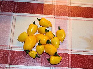 Habanero Amarillo