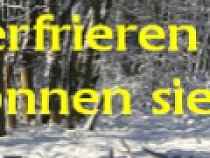 Banner-Frost-Schneewald-927x90