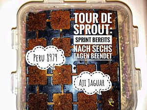 Tour de Sprout: 6 Tage Rennen vorbei
