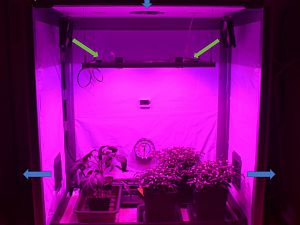 Growbox_part1