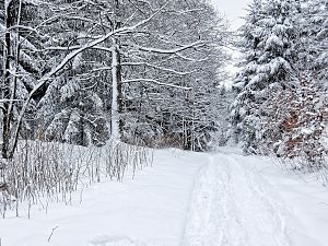 Winterwunderland im Südharz