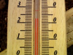 Gewächshaus Temperatur