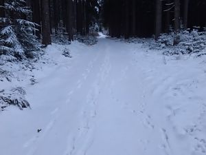 Winter März 2018 7