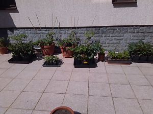 Sonnengewöhnung 5.5.