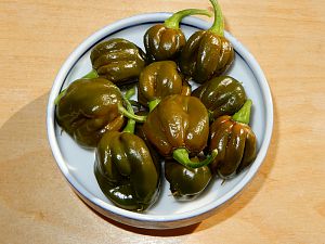 Scotch Bonnet Olive