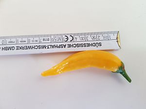 Aji Pineapple