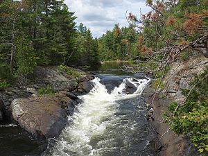 Wilderness und Wasser