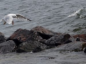 Lake Huron