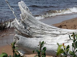 Ufer Lake Huron