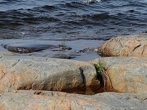 Ufer Lake Huron