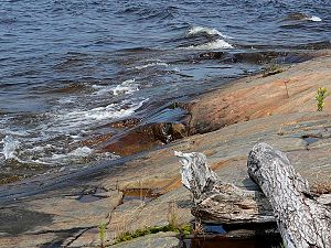 Ufer Lake Huron