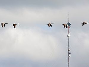 Natur und Technik