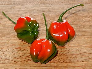 Aji Dulce