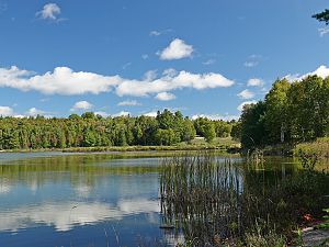 Herbst