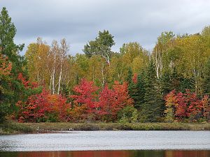 Erste Herbstfarben