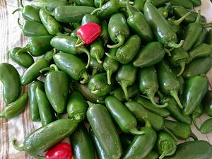 Jalapeños