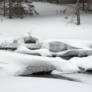 Pond