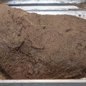 190328_Pulled_Pork_Pastrami_4.jpg