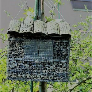 Insektenhotel 2. Jahre alt