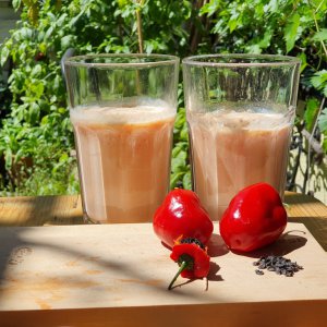 20190601_144304-rocoto-milchshake.jpg