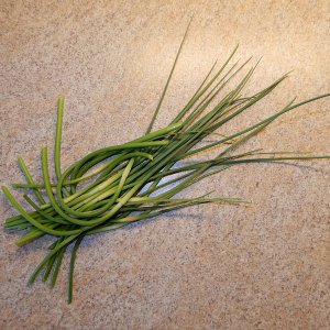 Garlic Scapes