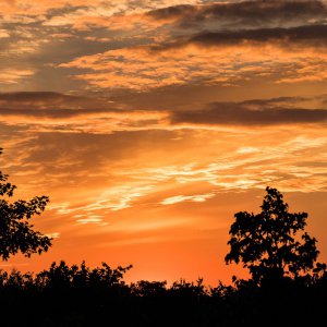 2019_07_06_sonnenuntergang im garten-2.jpg