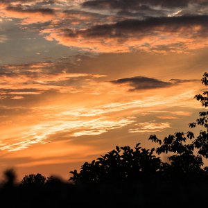 2019_07_06_sonnenuntergang im garten-3.jpg