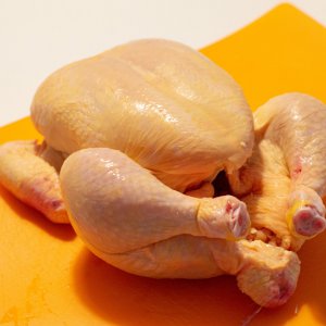 190829_Roadkill_Chicken.jpg