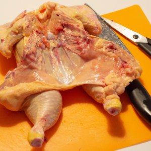 190829_Roadkill_Chicken_1.jpg