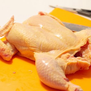 190829_Roadkill_Chicken_2.jpg